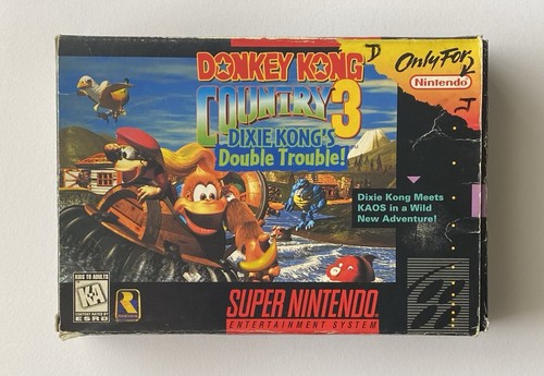 Snes donkey kong country 3 - donkey,